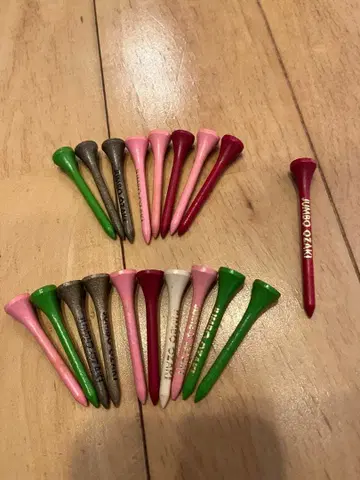 [ 추모 ] 점보 오자키 티 20개