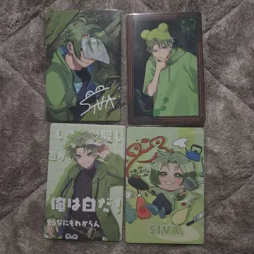 컬러풀 피치 시바 트레이딩 카드 전시회 뮤지엄 카라피치