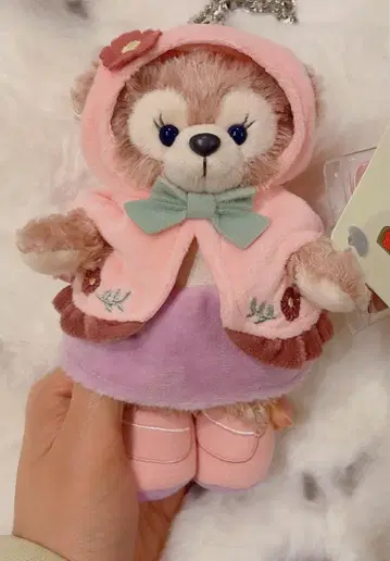 2 홍콩 디즈니 포레스트 원더 셰리 메이 키체인 키링