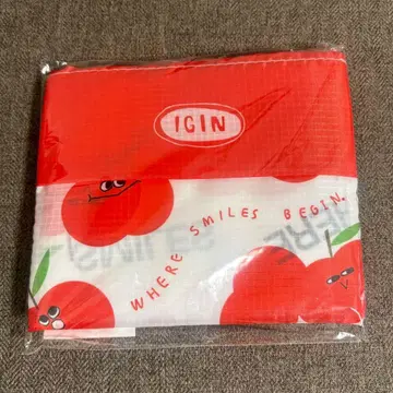 BTS 진 IGIN 에코백