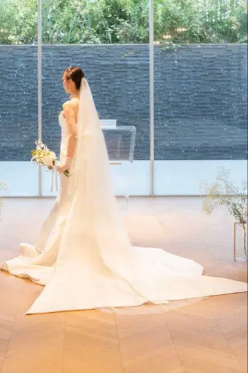 노바레제 프랑스제 수입 롱 베일