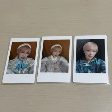 팬더드래곤 타이거 하피카