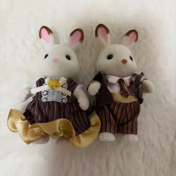 쇼콜라 토끼 패밀리 토끼 엄마 토끼 아빠