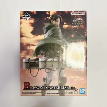 리바이 MASTERLISE B상