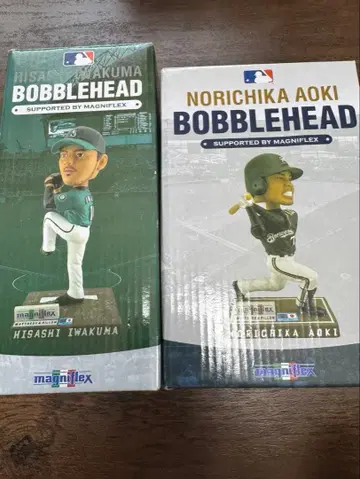 이와쿠마 히사시 아오키 노리치카 세트 판매