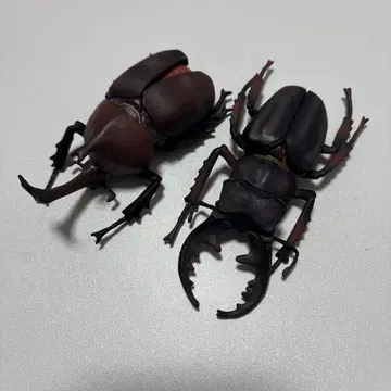 장수풍뎅이 피규어 2체 세트