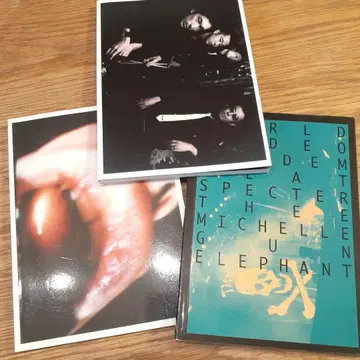 Thee Michelle Gun Elephant 투어 빵 3권 세트