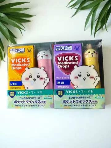 빅스 치이카와 콜라보 케이스 2개