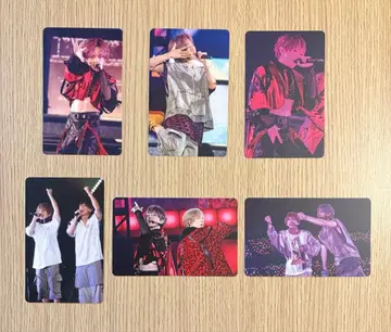 우라시마사카타센 랜덤 미니 포토 카드 WARN12G 우라타누키 6장 세트