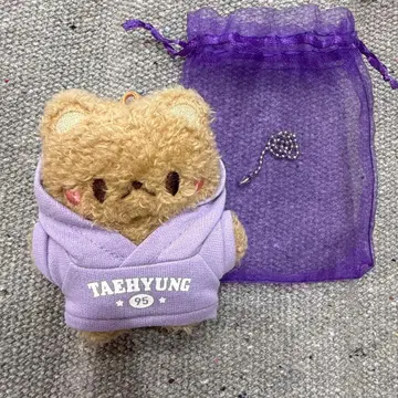 BTS V 태태 누나비님 코코아 베어 봉제 인형