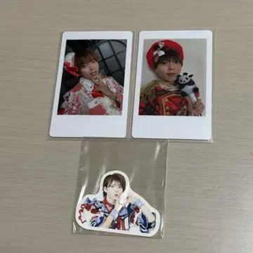 팬더드래곤 팟치 하피카