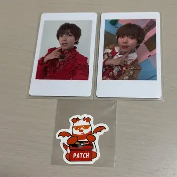 팬더드래곤 팟치 하피카