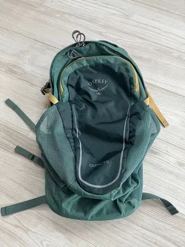 OSPREY Daylite 백팩 그린