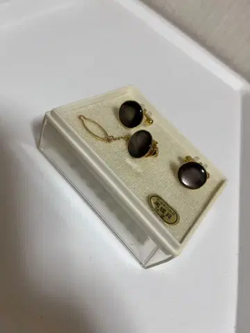 검은 나비 조개 세트