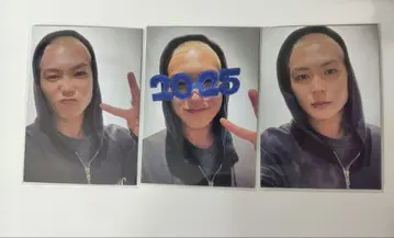 TJBB 사토 요 포토 카드