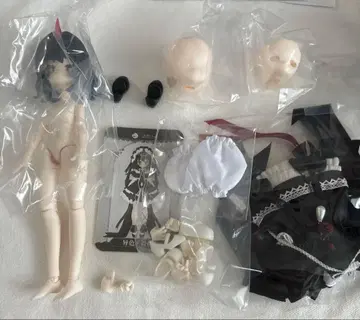 조물주의 마음 이색 색깔이 다른 로즈 장미 Meki