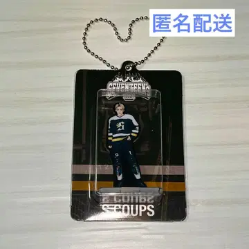 SEVENTEEN HOME 에스쿱스 아크릴 키링