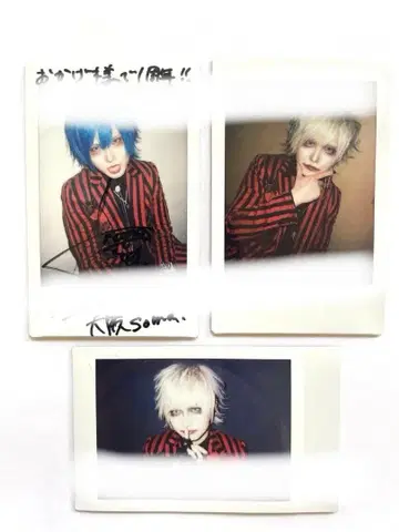 나방과 나비 폴라로이드 세트 B