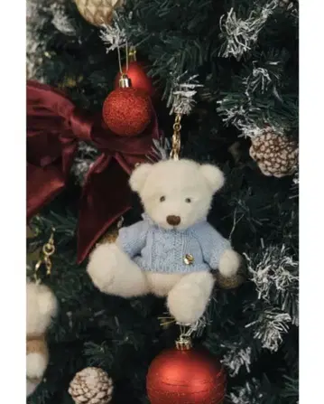 THE TOE 플라이슈 베어 키링