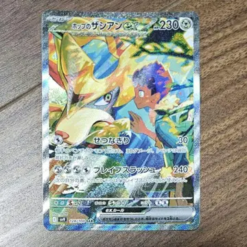 호프의 자시안 sar 묶음 판매