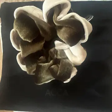 ACCA 루프 스크런치 벨로아