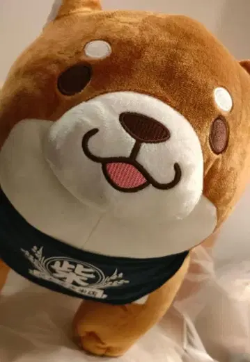 시바견 충견 모치시바 BIG 봉제 인형