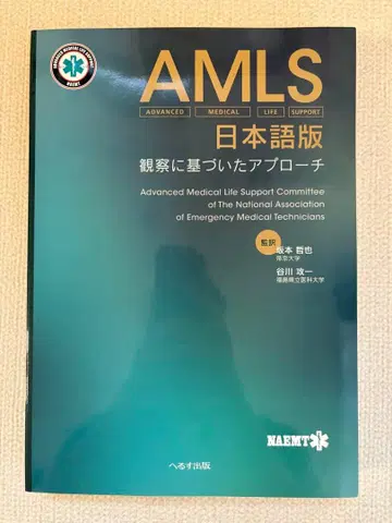 AMLS 일본어판 관찰 기반 접근법