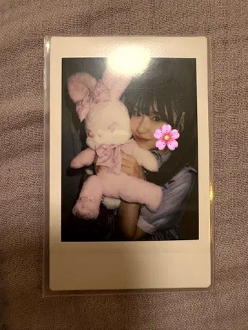 사쿠라바 하루카 폴라로이드 LARME