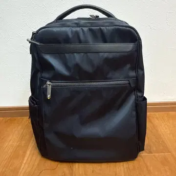 ACE 비즈니스 백팩