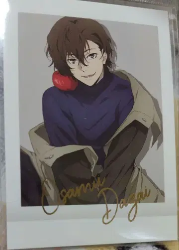 문호 스트레이독스 다자이 오사무 파샤코레