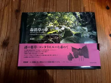 독소 제거 풀의 꿈 디톡스 플랜츠 히스토리