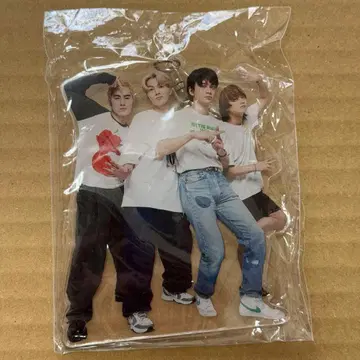 DISH// 아크릴 키링