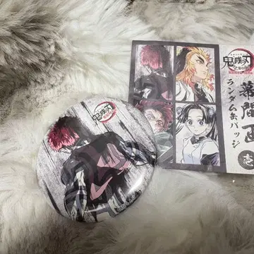 귀멸의 칼날 전 집중전 캔뱃지 아카자