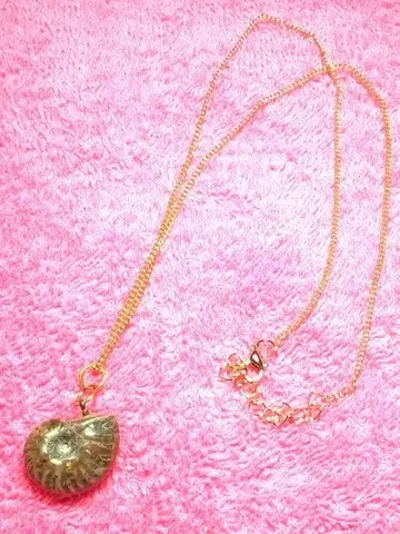 암모나이트형 펜던트 목걸이 메루카리 감정 관리번호 A-1