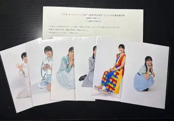 니부 아카리 비장 브로마이드