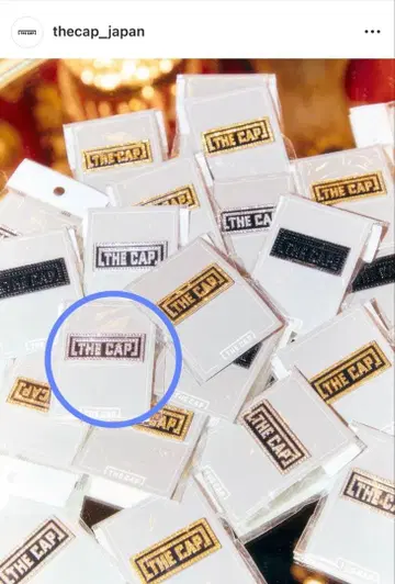 THECAP 도쿄점 한정판 실버 핀즈