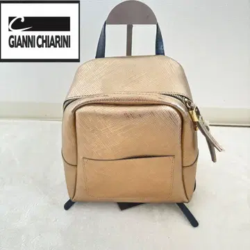 지아니카리니 숄더백 골드 금장 장식 깨끗함