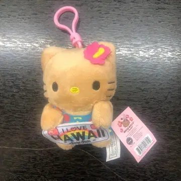 헬로키티 하와이 디자인 키링