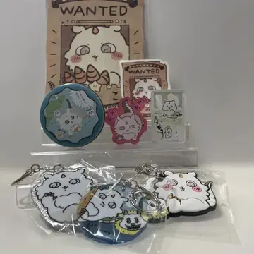 치이카와 그 아이