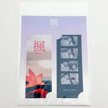 영화 단풍 클리어 책갈피 세트