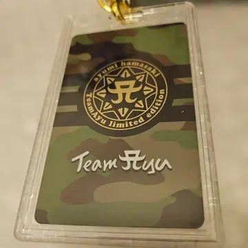 하마사키 아유미 TA PASSPORT