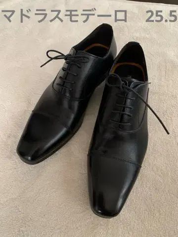 새상품급 마드라스 모데로 스트레이트 팁 비즈니스 슈즈