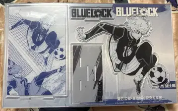 중국 한정판 공식 굿즈 나기 세이시로 원화 빅 아크릴 스탠드