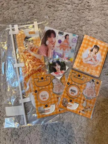 FRUITSZIPPER 진세이 스즈카 스키복권