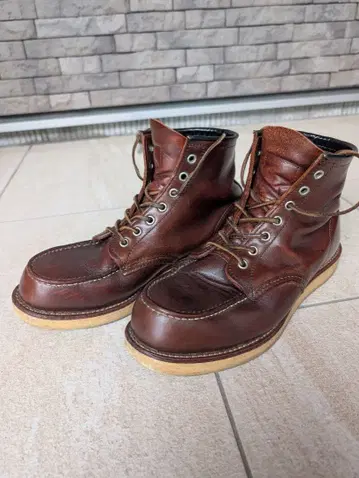 레드윙 아이리쉬 세터 8858 100주년 기념 사이즈 8 875