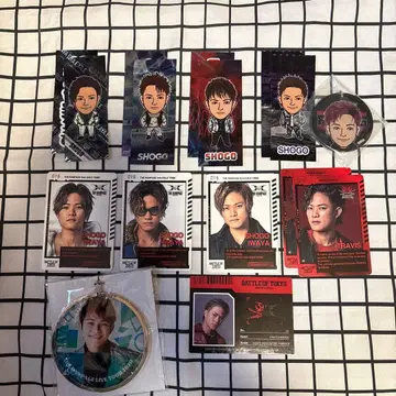 이와타니 쇼고 굿즈 세트 BATTLE OF TOKYO