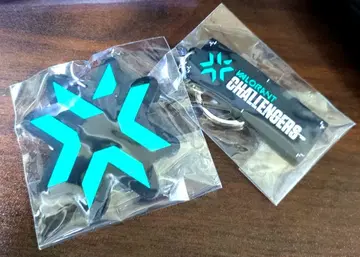 VALORANT 오프라인 관전 한정판 혜택 러버 키링