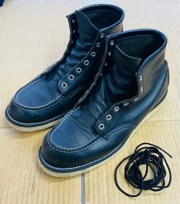 레드윙 8130 아이리쉬 세터