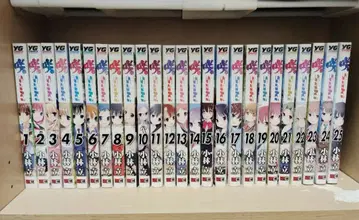 사키 Saki 1~25권 세트 마작 고바야시 타테