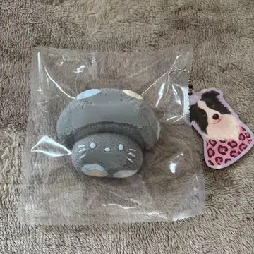 스퀴즈 키티 버섯